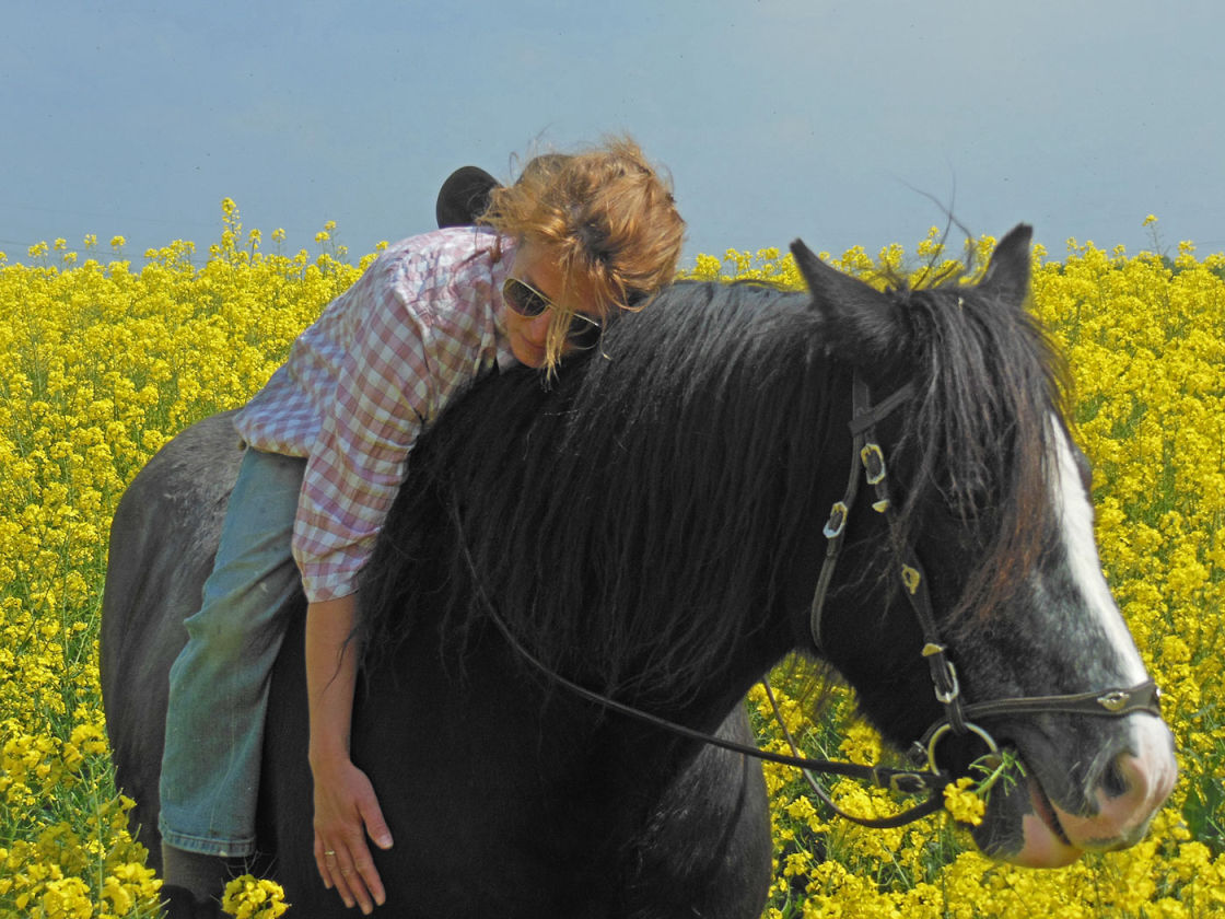 Tiergestützte Intervention bedeutet Vertrauen zwischen Mensch und Tier