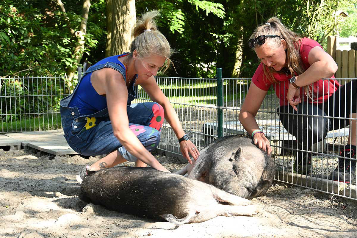 Therapiemöglichkeiten in der Tiergestützten Intervention Therapiemöglichkeiten in der Tiergestützten Intervention