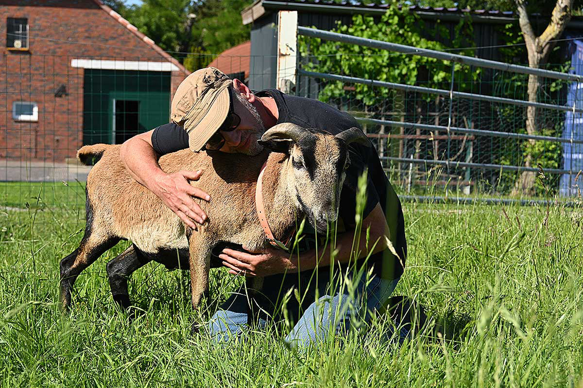Vertrauen zu den Tieren aufbauen Vertrauen zu den Tieren aufbauen